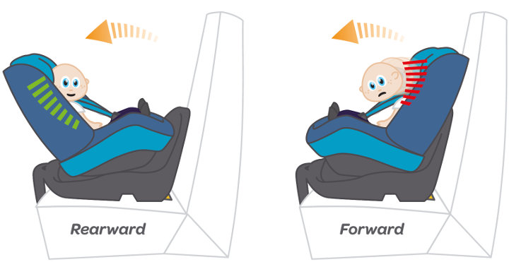 Baby illustration in forward and rearward facing car seat positions